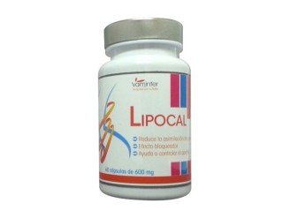 Lipocal