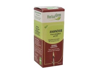 Almendro Macerado Glicerinado