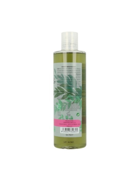 Champú Suero Fitomarino (Cabellos Grasos) 300 ml Algologie