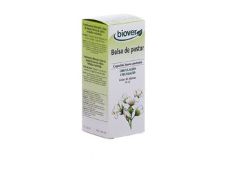 Capsella Bursa Pastoris (Bolsa de Pastor)