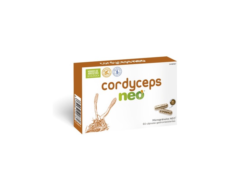 Cordyceps 60 cápsulas Neo