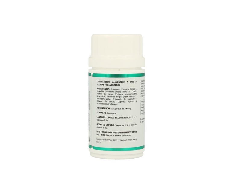 Harpagofito Forte Holofit 50 cápsulas Equisalud