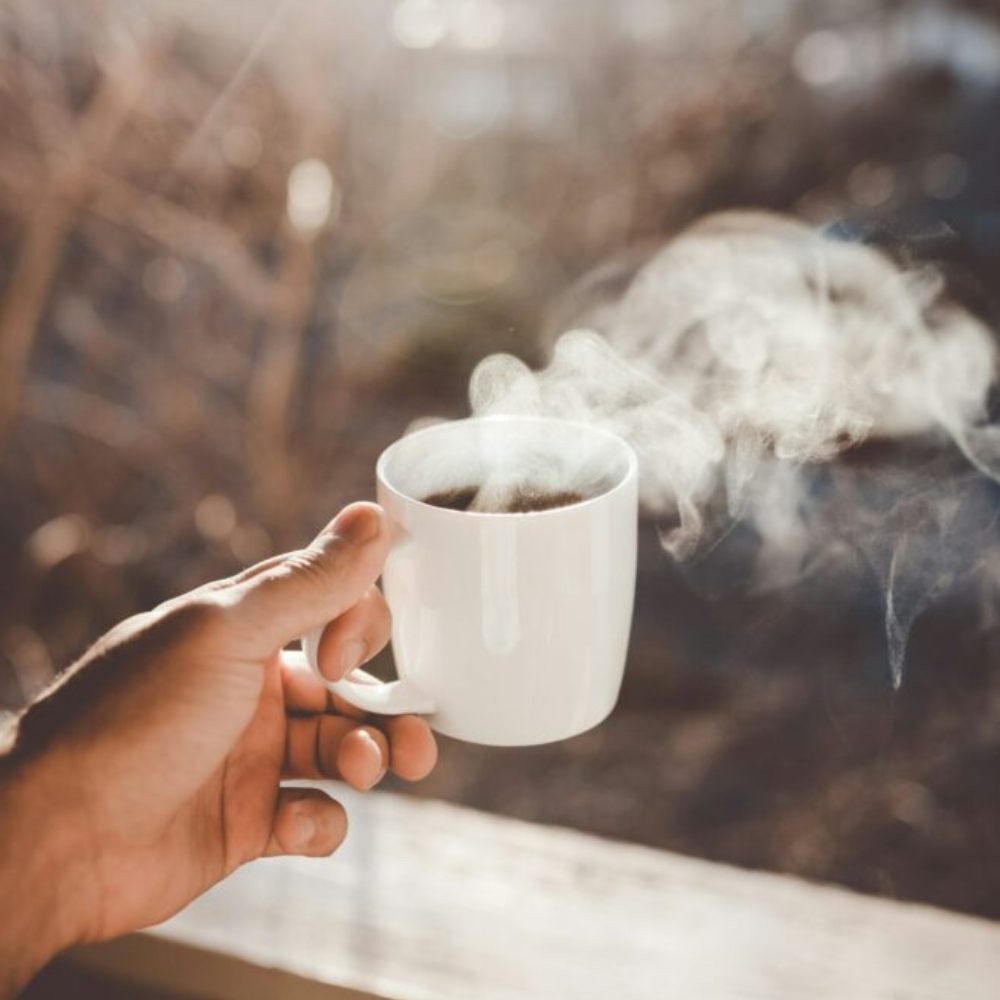 Café sostenible: tu elección diaria que beneficia al mundo