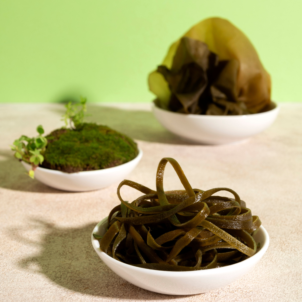 Algas comestibles: superalimentos para tu salud y bienestar